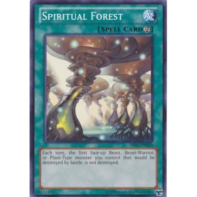 Spiritual Forest - AP01-EN020