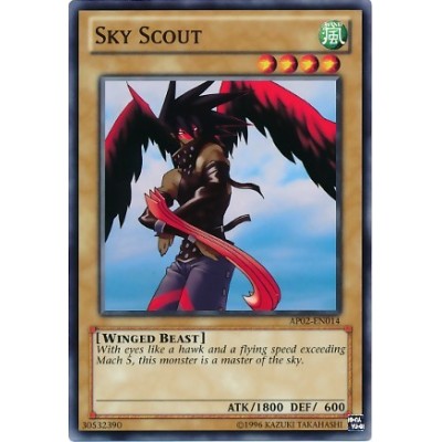 Sky Scout - AP02-EN014