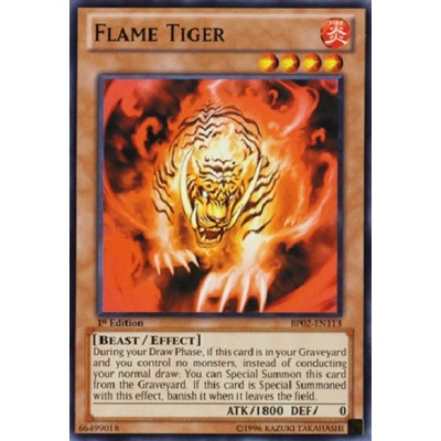 Flame Tiger - GAOV-EN039