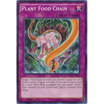 Plant Food Chain - BP03-EN212