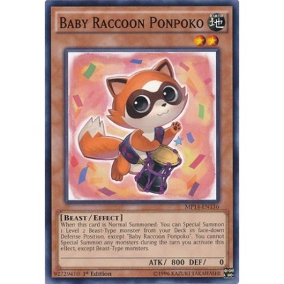 Baby Raccoon Ponpoko - MP14-EN136