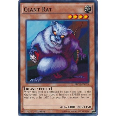 Giant Rat - SDGR-EN020