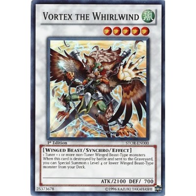 Vortex the Whirlwind - STOR-ENSP1