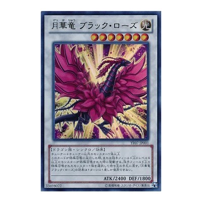 Black Rose Moonlight Dragon - YF07-JP001