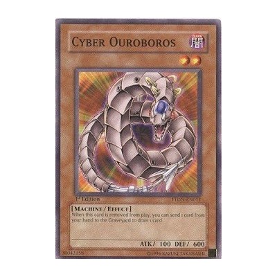 Cyber Ouroboros - PTDN-EN011