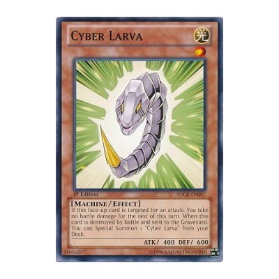 Cyber Larva - SDCR-EN007