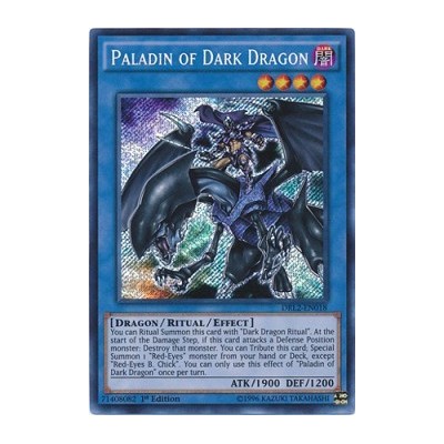 Paladin of Dark Dragon - DRL2-EN018 x