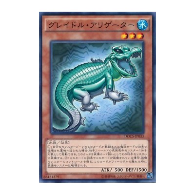 Graydle Alligator - DOCS-JP033