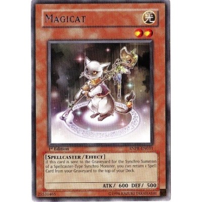 Magicat - ANPR-EN031