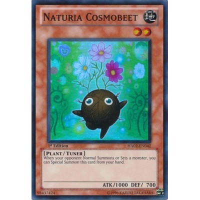 Naturia Cosmobeet - DT02-EN072