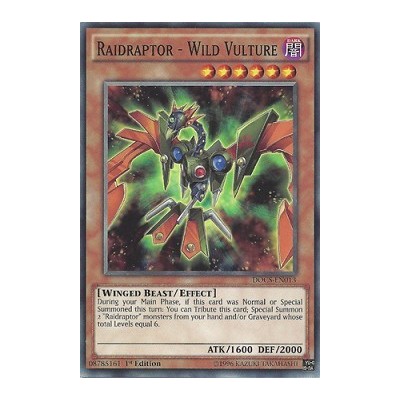 Raidraptor - Wild Vulture - DOCS-EN013