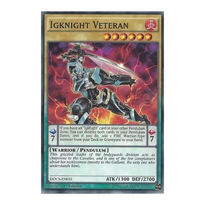 Igknight Veteran - DOCS-EN031