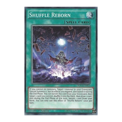 Shuffle Reborn - DOCS-EN053