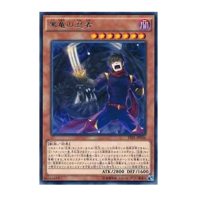 Black Dragon Ninja - TDIL-JP036