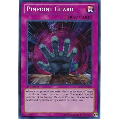 Pinpoint Guard - LTGY-EN069