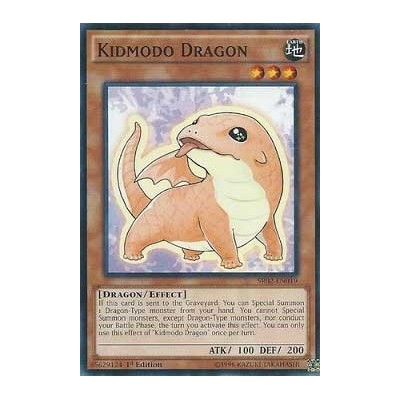Kidmodo Dragon - SR02-EN019