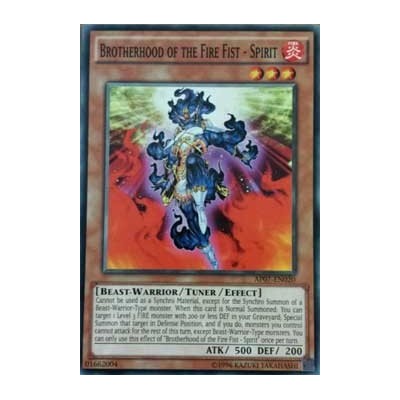 Brotherhood of the Fire Fist - Spirit - AP07-EN020