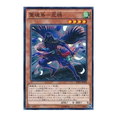 Shinobird Shinobigarasu - RATE-JP022