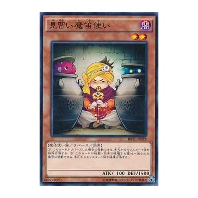 Apprentice Piper - RATE-JP029