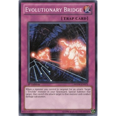 Evolutionary Bridge