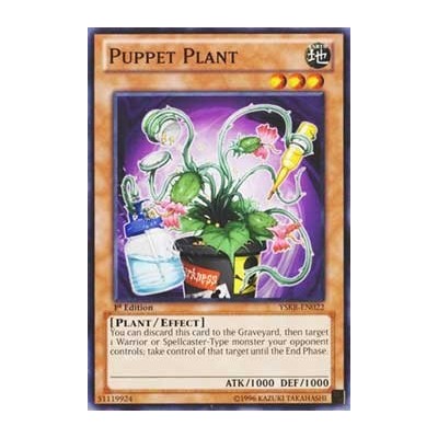 Puppet Plant - YSKR-EN022