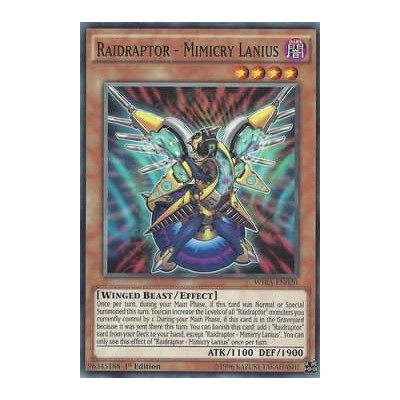 Raidraptor - Mimicry Lanius - WIRA-EN020