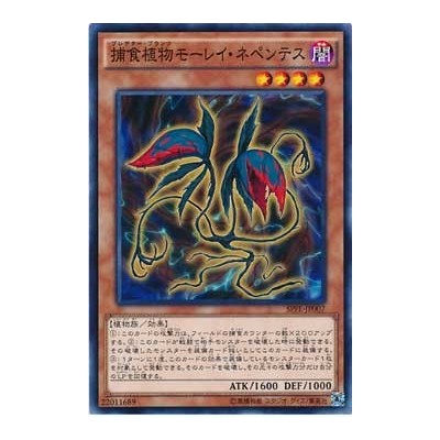 Predaplant Moray Nepenthes - SPFE-JP007