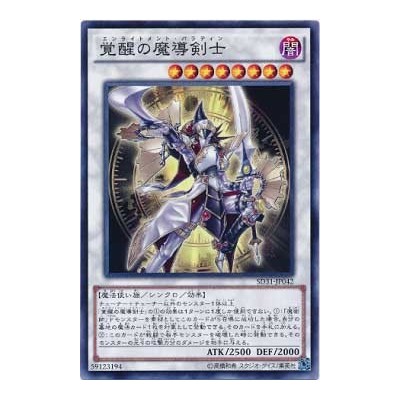 Enlightenment Paladin - SD31-JP042