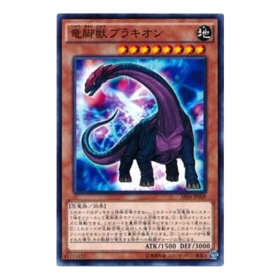 Sauropod Brachion - SR04-JP008