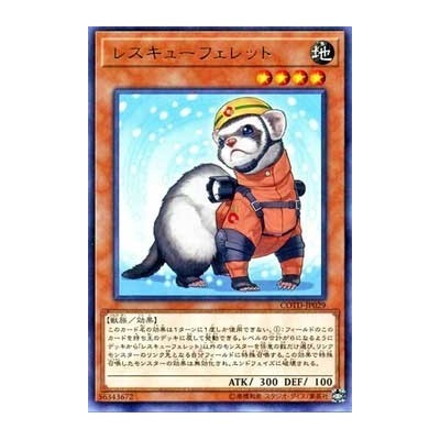 Rescue Ferret - COTD-JP029