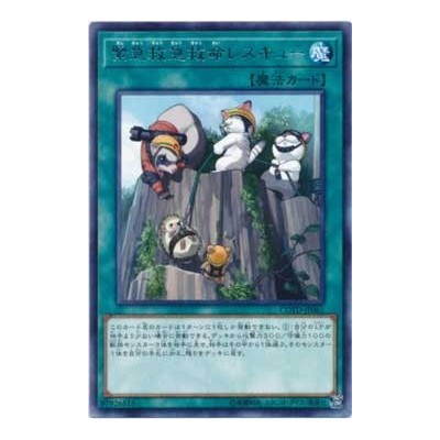 Emerging Emergency Rescute Rescue - COTD-JP061