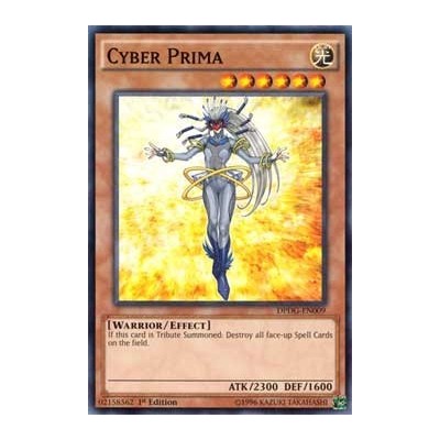 Cyber Prima - DPDG-EN009