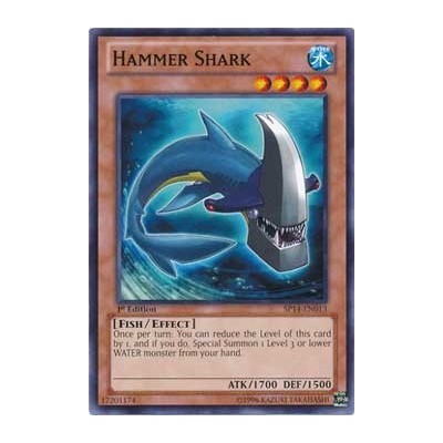 Hammer Shark - SP14-EN013