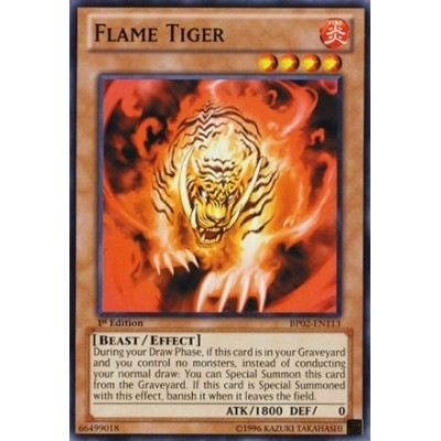 Flame Tiger - SDOK-EN019