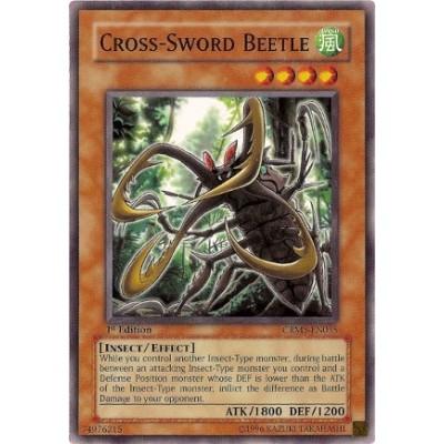 Cross-Sword Beetle - CRMS-EN035