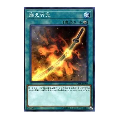 Burning Bamboo Sword - CIBR-JP066