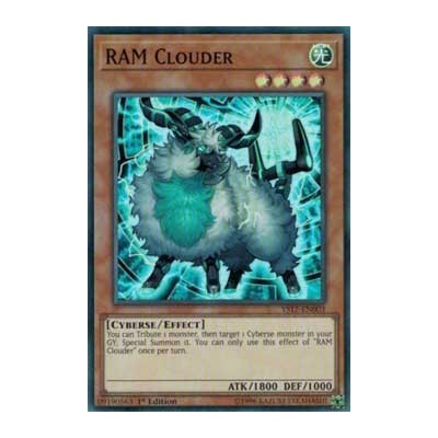 RAM Clouder - YS17-EN003