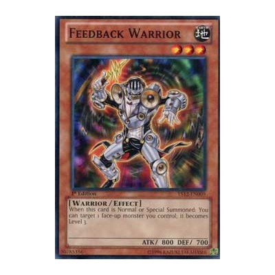 Feedback Warrior - YS12-EN009