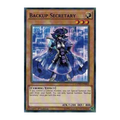 Backup Secretary - COTD-EN002