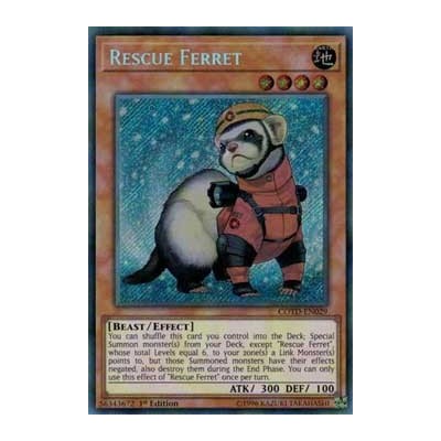 Rescue Ferret - COTD-EN029