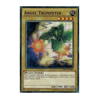 Angel Trumpeter - MP17-EN001