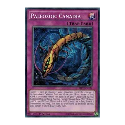 Paleozoic Canadia - MP17-EN124