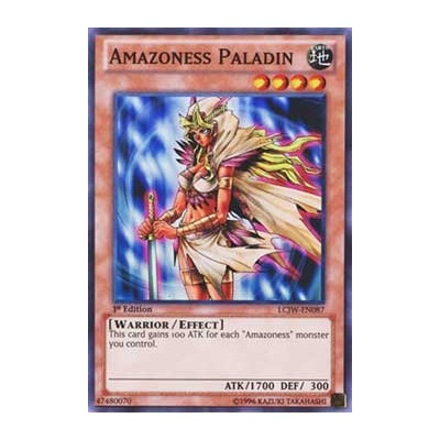 Amazoness Paladin - LCJW-EN087