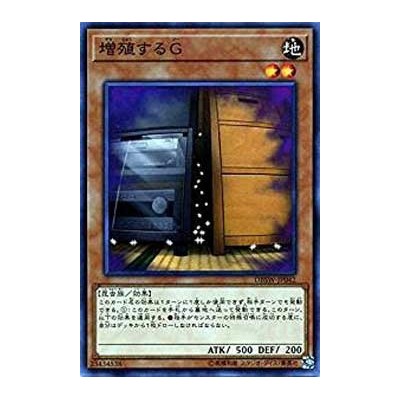 Maxx "C" - DBSW-JP042