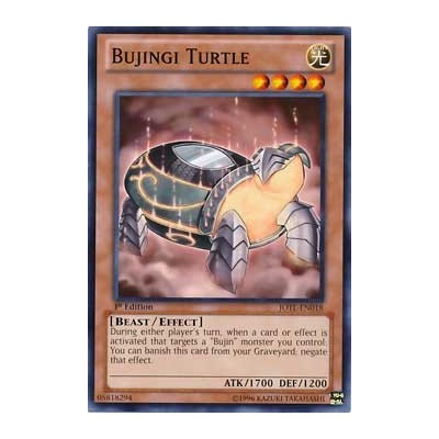 Bujingi Turtle - JOTL-EN018