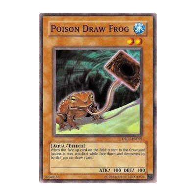 Poison Draw Frog - CRV-EN028