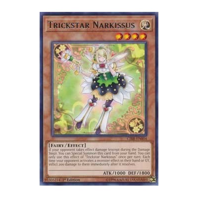 Trickstar Narkissus - CIBR-EN004