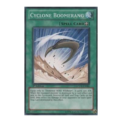 Cyclone Boomerang - DP03-EN015