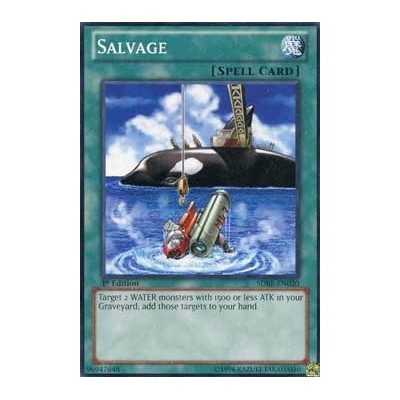 Salvage - SDRE-EN030