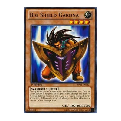 Big Shield Gardna - DPYG-EN009